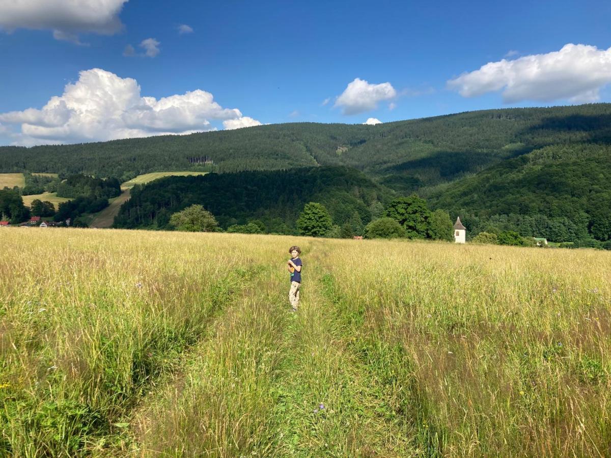 Vila Adélka - útulná chalupa v Krkonoších Horní Maršov Exterior foto